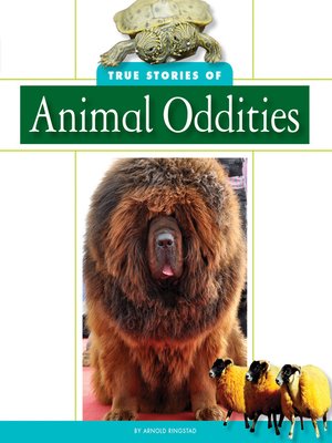 cover image of True Stories of Animal Oddities